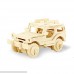 3 Pack 3D Wooden Puzzles Vehicle DIY Assembly Model Adult Craft DIY Brain Teaser Games Engineering Toys B07BYB5KSG